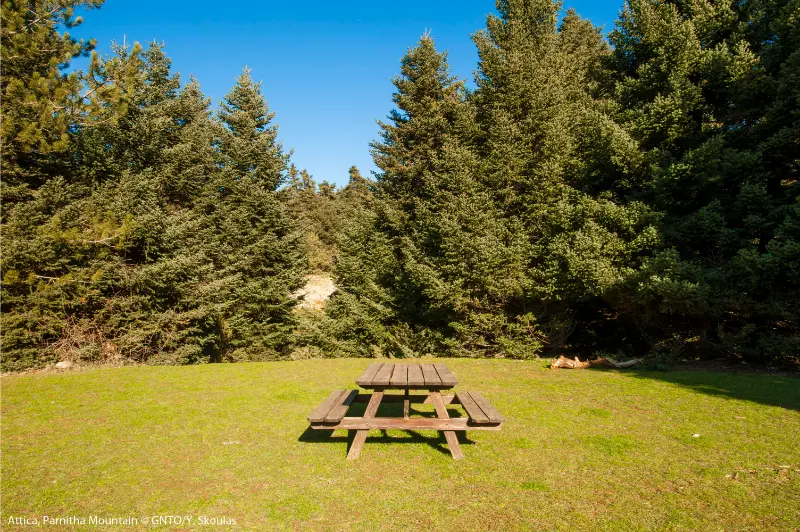 Attica Parnitha Mountain Mola