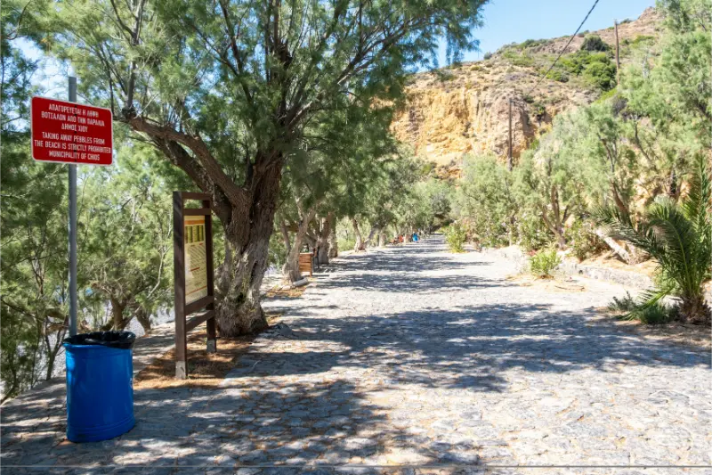 Cobblestone Walkway Lined With Tamarisk Trees Near Mavra Volia Beach Chios Island Greece