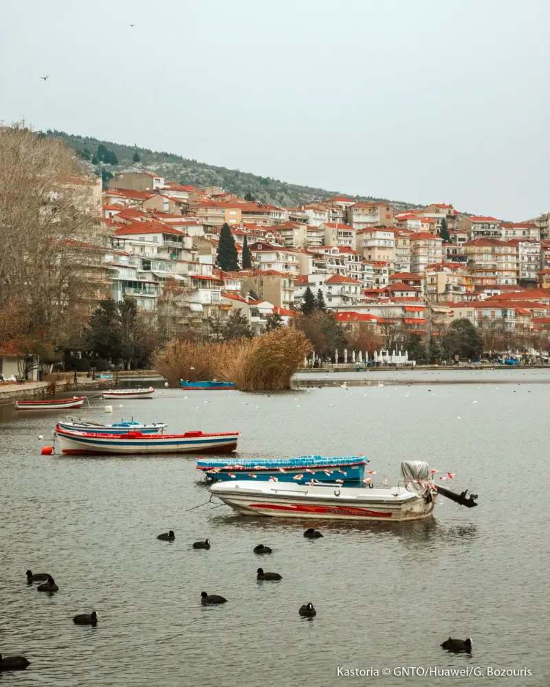 Kastoria Huawei G Bozouris
