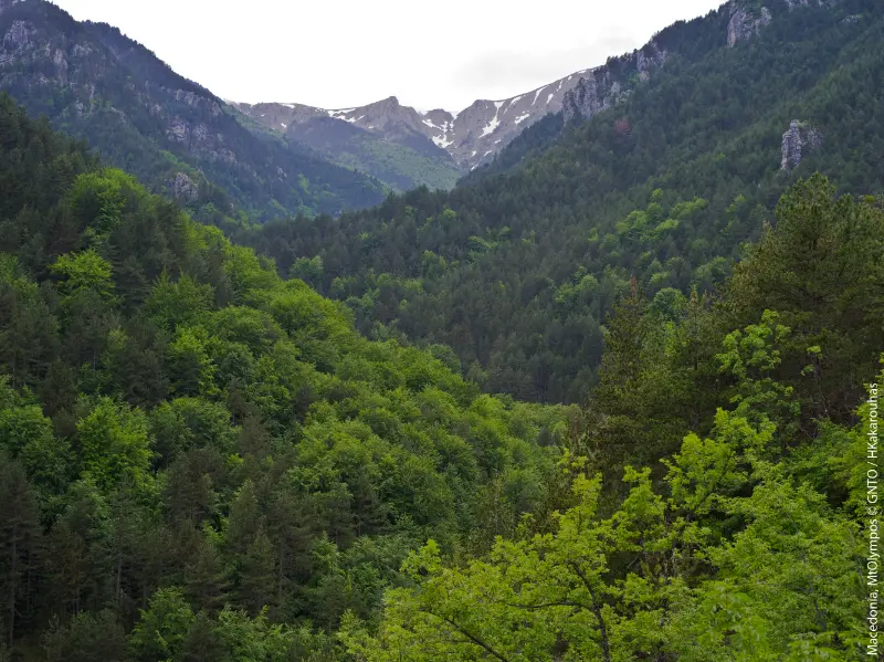 Macedonia Mt Olympos