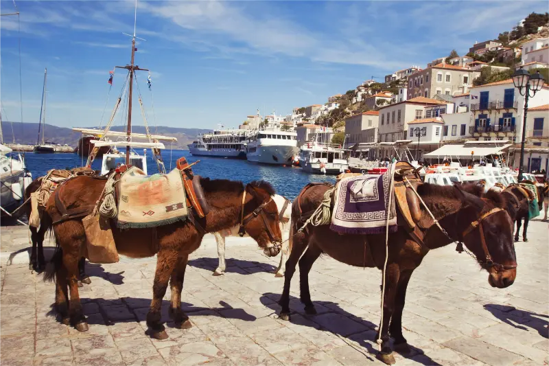Port Hydra Greece