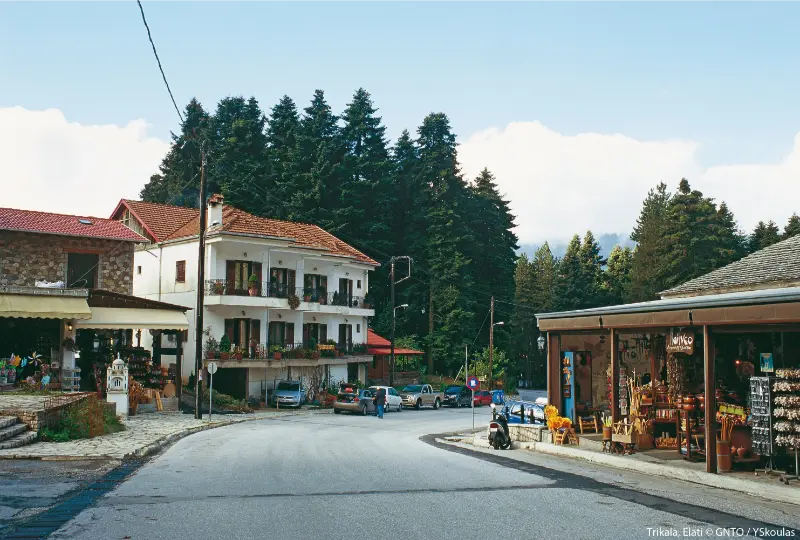 Trikala Elati
