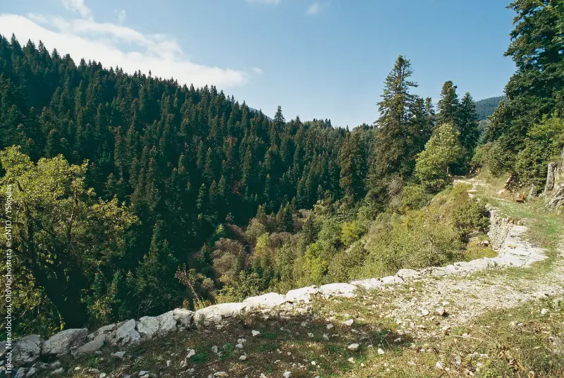 Trikala Neraidochori Old Vlachostrata
